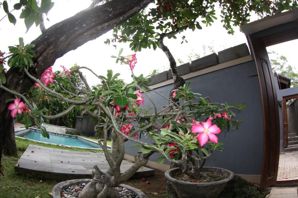 Villa D'Suite Seminyak Eksteriør bilde